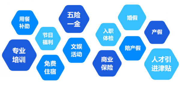 提供全面、系統(tǒng)、專業(yè)的培訓(xùn)和廣闊的<br>職業(yè)發(fā)展空間和提升機(jī)會